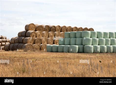 Plastic Straw Bales Hi Res Stock Photography And Images Alamy