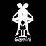 Sun Signs 101 Gemini May 21  June