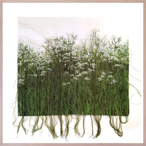 Helen Derbyshire Cow Parsley 5 2024 Contemporary And Country