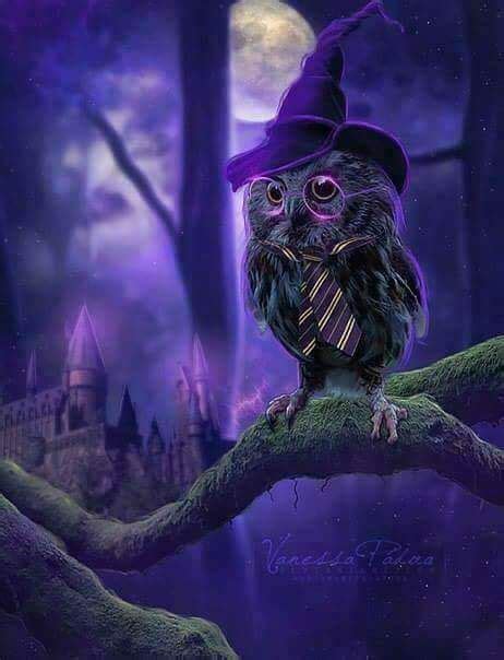 Owl Castle magic wizard night moon purple | Owl artwork, Cute owls