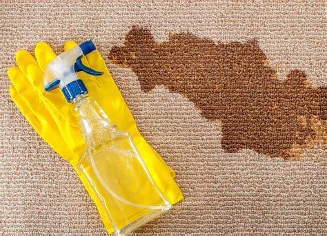 Best Home Remedy For Cleaning Carpet Stains
