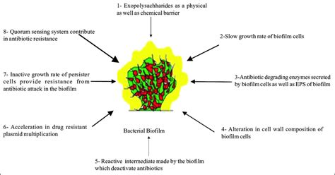Biofilm Resistance Mechanisms Download Scientific Diagram