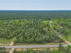 Acres For Less Mississippis Underrated Land Values