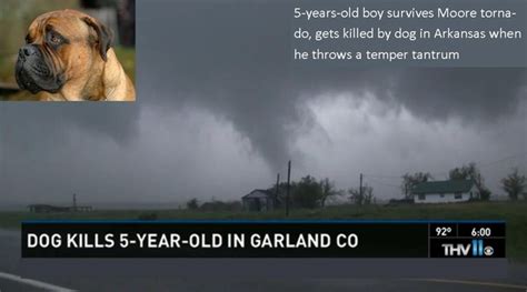 Tornado Survivor Killed 5 Year Olds Temper Tantrum Ends In Fatal Dog