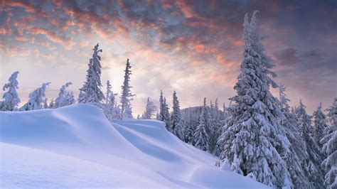 Forest Drifts Snow Mountains Sunset Trees Sky Winter