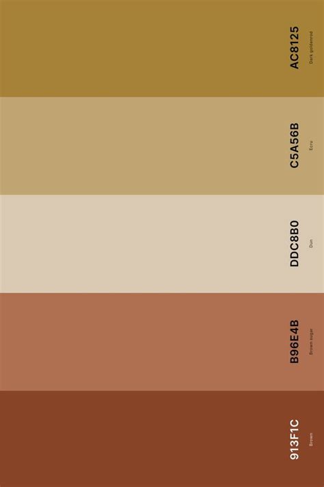 25 Best Terracotta Color Palettes With Names And Hex Codes In 2024