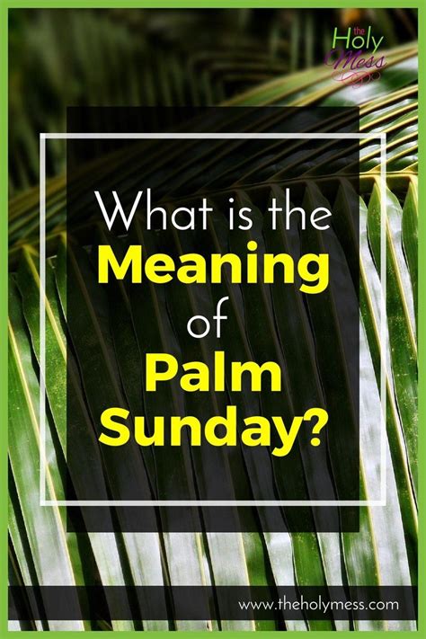 What Is The Meaning Of Palm Sunday Meaning Of Palm Palm Sunday