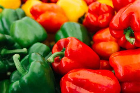 Wie lange ist Paprika haltbar