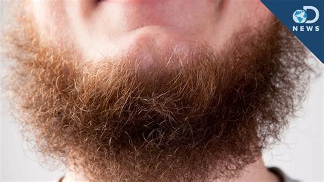 Science Says Beards Aren T Sexy Anymore Youtube