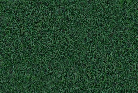 Free Seamless Grass Texture Designs In Psd Vector Eps