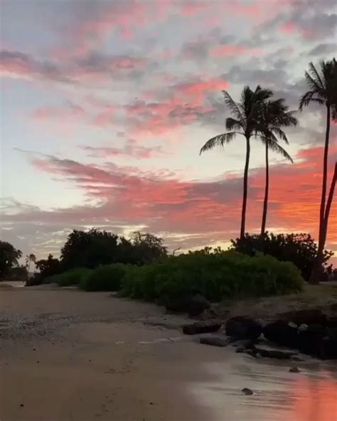 Havaí 🌴 Vídeo Em 2020 Viagens Ao Havaí Viagens Lugares Para Férias