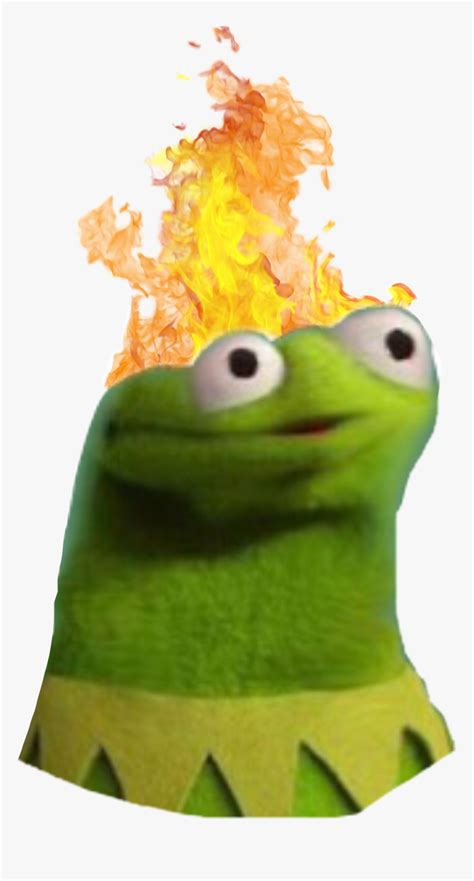 Fire Kermit Derpface Stupidfriends Mylife Lazylooks Derp Kermit