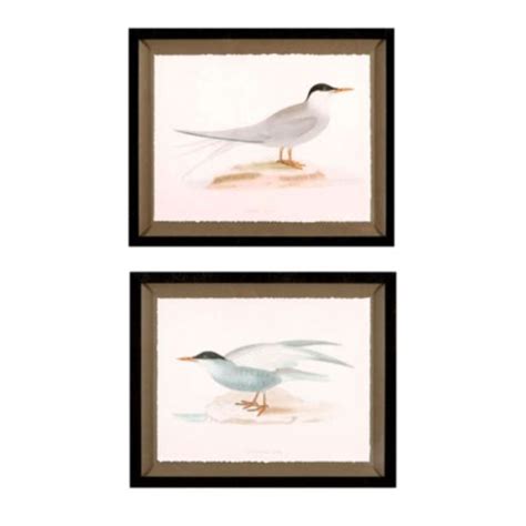 Her handwritten notes on each of these prints make them even more personal. Seabird Tern Prints | Ballard Designs