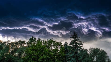 Purple Storm Stock Photo Image Of Landscape Trees Lightning 2210110