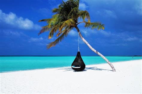 Playas De Maldivas Las Mejores Todo Lo Que Hay Que Saber Maldivas
