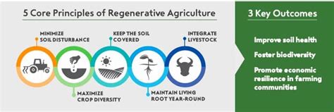 Regenerative Agriculture A Step Towards Water Conservation Universal