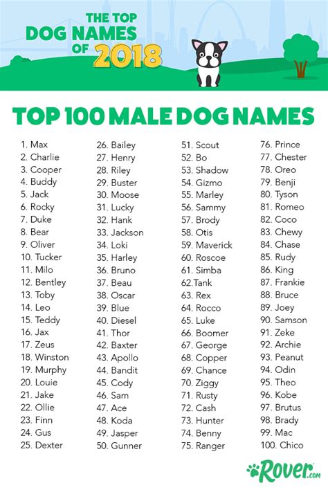 Looking for a chinese name for your new dog? The Top 100 Most Popular Dog Names in 2019 by Breed, City ...