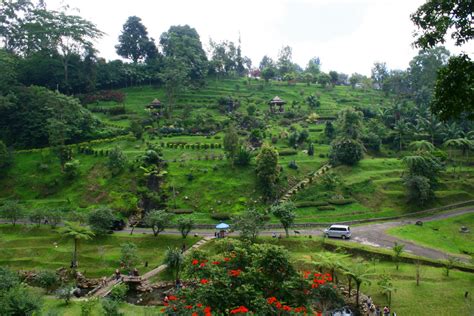 Kebun Raya Cibodas Tempat Wisata Dan Rekreasi Keluarga Yang Indah