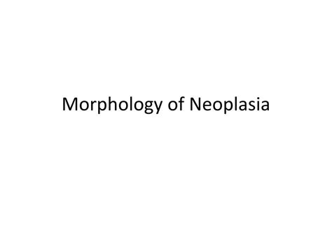 Ppt Pathology Of Neoplasia Powerpoint Presentation Free Download