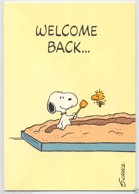 1970s Snoopy Peanuts Welcome Back Woodstock And 50 Similar Items