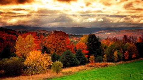 Landscape View Of Colorful Autumn Trees Mountain Green Grass Field