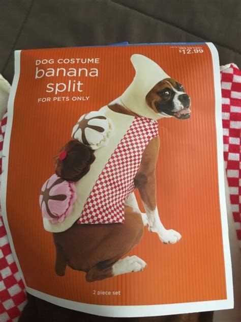 Dog Halloween Costume Banana Split L Size Brand New Ebay
