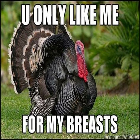 happy thanksgiving memes holidays thanksgiving thanksgiving turkey organic thanksgiving