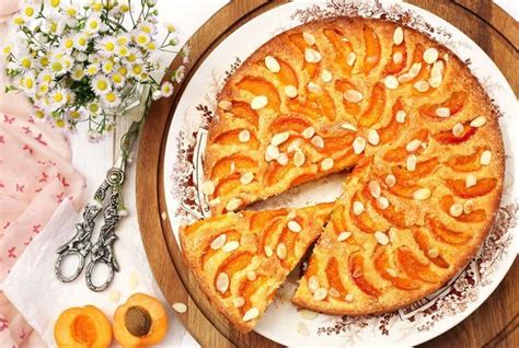 Tarte Amandine Aux Abricots La Recette De Cyril Lignac Dans Tous En My Xxx Hot Girl