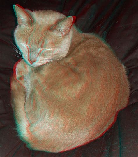 Ginger Cat In Anaglyph 3d Red Blue Glasses To View A Photo On Flickriver