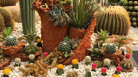 Cactus Garden Ideas 12 Ways To Welcome These Prickly Plants Into Your