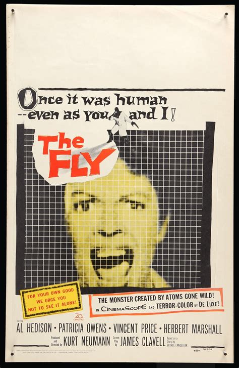 The Fly 1958 Original Window Card Movie Poster Original Film Art