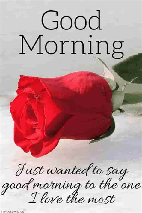 Top Good Morning Wishes With Rose Best Hd Images Morning Love Quotes Good Morning