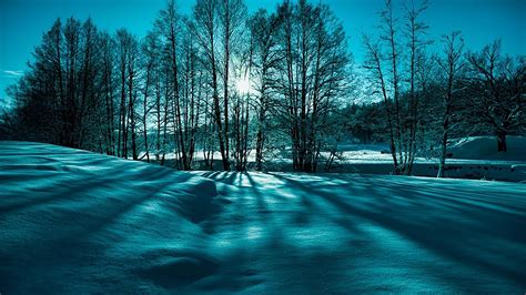 Blue And Green Winter Light Hd Wallpaper Wallpaper Download 5120x2880