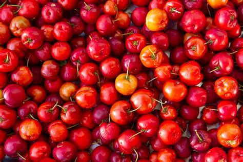 Acerola Cherries Foods High In Vitamin C Popsugar Fitness Uk Photo 9