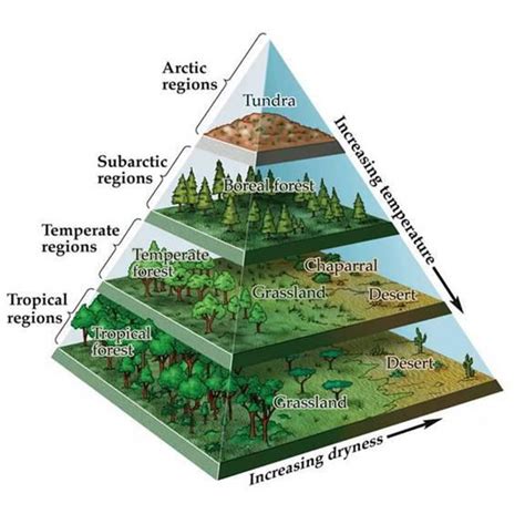Biomes And Climate Zones