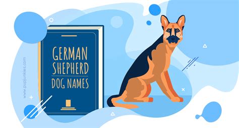 100 Most Popular German Shepherd Dog Names Of 2021