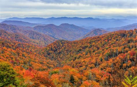 Asheville North Carolina Shutterstock Fall Foliage Map Fall