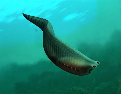 Fish Evolution To Human Sea And Fish