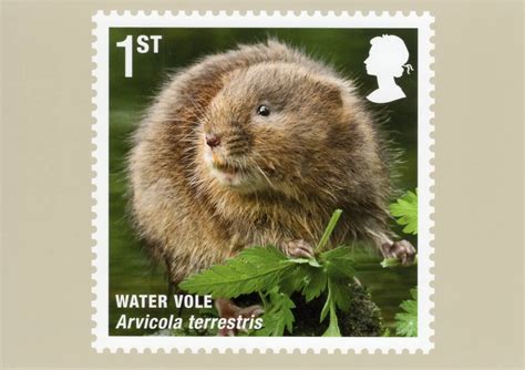 Mammals 2010 Collect Gb Stamps