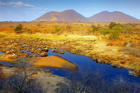 ruaha national park tanzania the complete guide