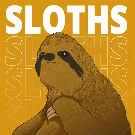 Premium Vector Sloths Design Illustrations