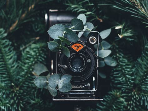 Outstanding Film Photographers On Instagram To Follow And Get You