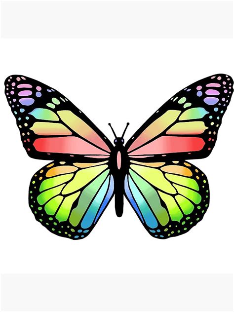 Colorful Butterfly Drawing Free Download On Clipartmag