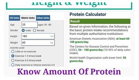food protein calculator for vegans