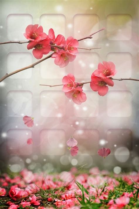 Iphone Lock Screen Flower Backgrounds ~ Lotus ~ By Jmatz Lock