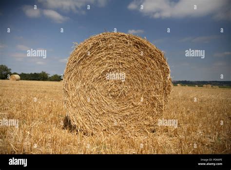 Wheat Straw Bales Summer Stock Photo Alamy