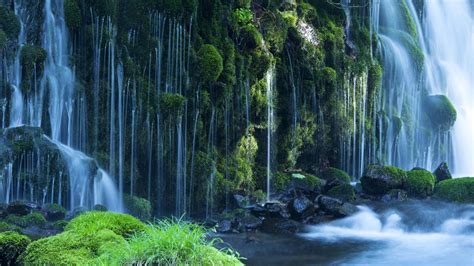 Waterfalls Moss Nature 410757