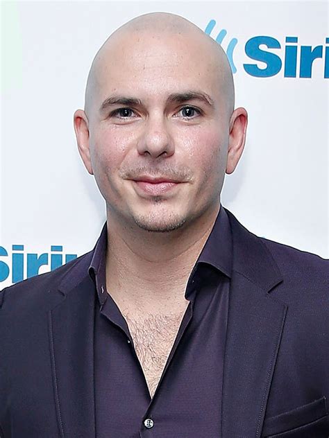 Armando christian pérez, known by the stage name pitbull or mr. Pitbull: I Want to 'Make History' in 2015 - New Year's ...