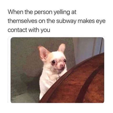 The Best 8 Subway Memes Funny Wallabypropics