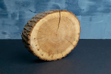 Cracked Tree Cross Section With Annual Rings On Painted Blue Background